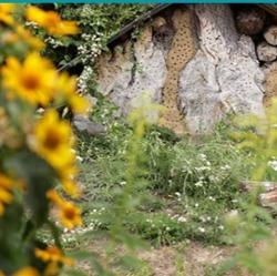 Schönste Kleingärten im Einklang mit der Natur   