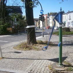 Stadtbäume: Unsere grünen Freunde benötigen Hilfe    
