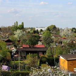 Grün retten ist so wertvoll wie neues Grün schaffen   