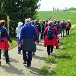 Berliner Kleingärtner luden zur Kleingartenwanderung 2019 ein