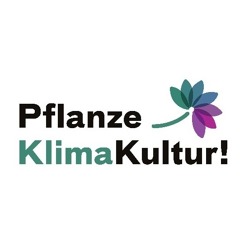 Klimabeet im eigenen Garten    