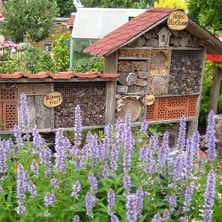 Wir bauen ein Insektenhotel    