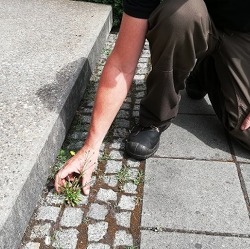 Gift im Garten? Nicht mit uns!