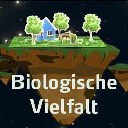 Das Kleingarten-Universum: 3. Kleingärten für die biologische Vielfalt