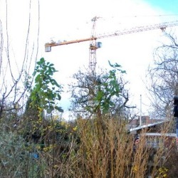 Was wir vom Stadtentwicklungsplan Wohnen 2030 halten   