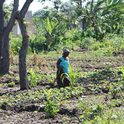 Spendenaufruf für Boden-Entsalzungs-Projekt in Maputo