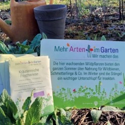 Artenschutz aus der Samentüte    