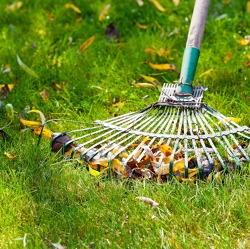 Monatliche Tipps - Landesverband Berlin der Gartenfreunde e. V.