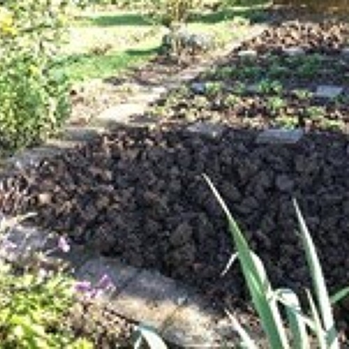 Tipps zur richtigen Bewässerung im Garten    