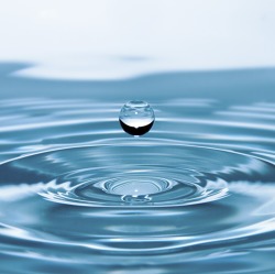 Kleingartenanlagen im Wasserschutzgebiet