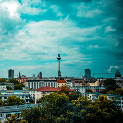Stellungnahme zu "Urban Gardening in der Stadt verwurzeln"