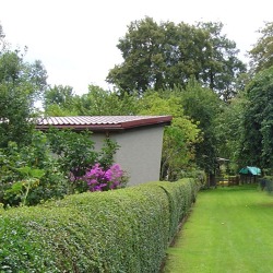 Pflanzung und Pflege von Hecken sowie Rasen im Kleingarten