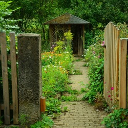 Klima / Natur / naturnahes Gärtnern