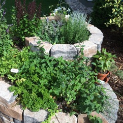 Kräuterspirale, Hochbeet, Trockenmauer und andere typische Gestaltungselemente für einen Biogarten
