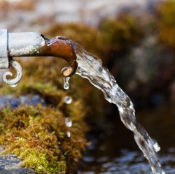 Das richtige Wassermanagement im Kleingarten - effektive Nutzung