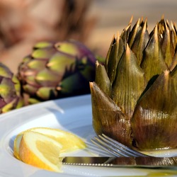 Essbare Wildpflanzen und Wildfrüchte