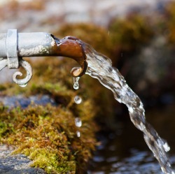 Das richtige Wassermanagement im Klimawandel
