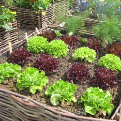 Anlegen und arbeiten mit einem Hochbeet im Garten