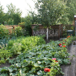 Gartenbegehung - der Kleingärtnerischen Nutzung gerecht werden
