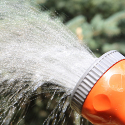 Online - Das richtige Wassermanagement im Garten