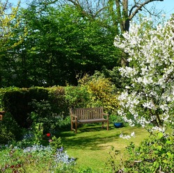 Pflanzenschutzliche Gartenbegehung
