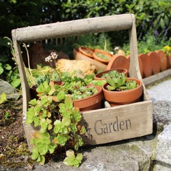 Einstiegswissen für Gartenneulinge
