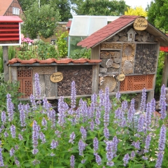 Insektenhotel, Naturschutz